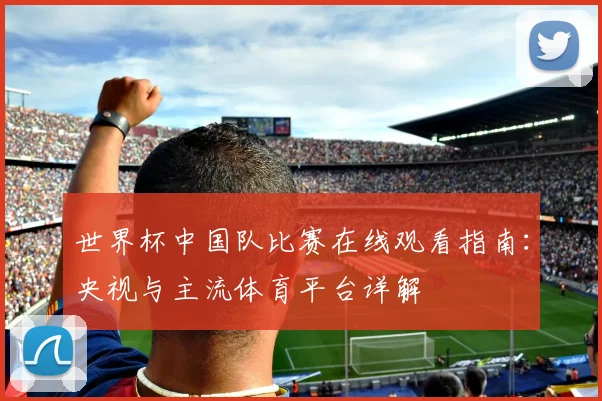 世界杯中国队比赛在线观看指南：央视与主流体育平台详解