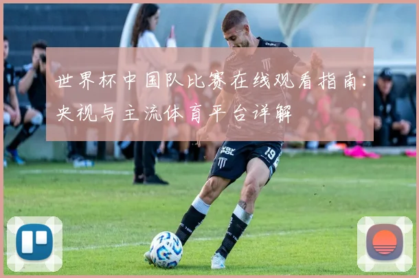 世界杯中国队比赛在线观看指南：央视与主流体育平台详解